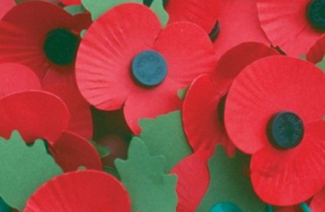 The Remembrance Poppy