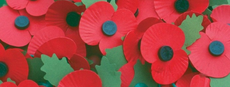 The Remembrance Poppy